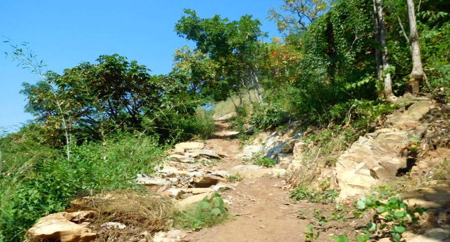 Yedargon-Hill-Myanmar-Hiking-Track